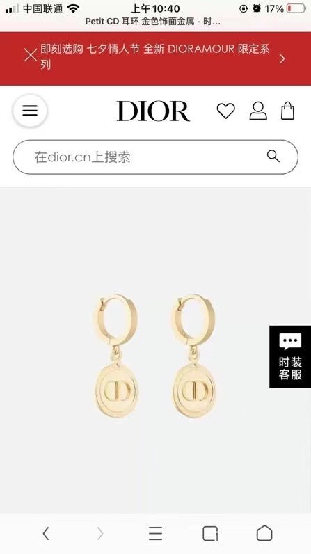 Dior Earring 04lyr400 (2)